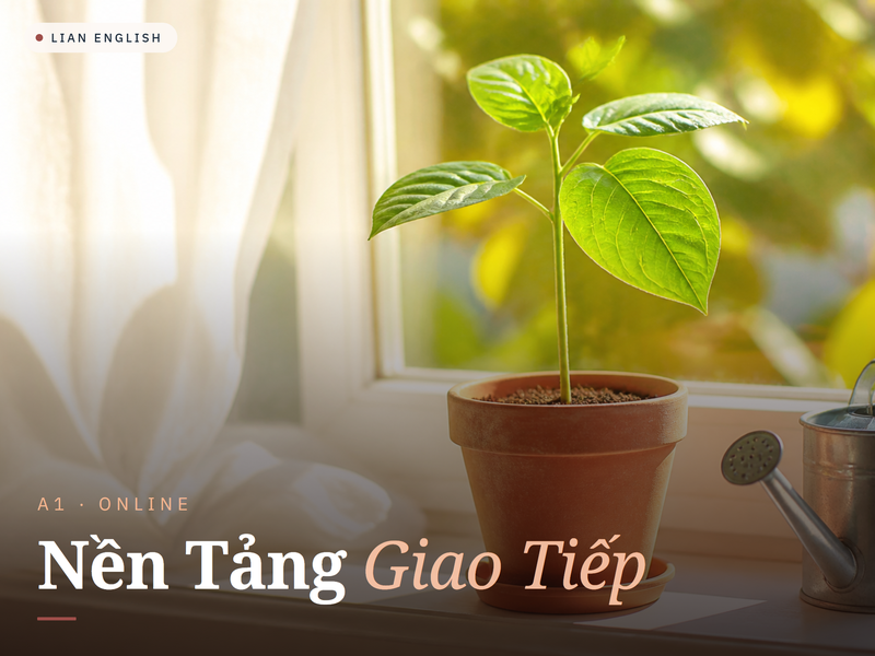 Nói tiếng Anh từ ngày đầu tiên